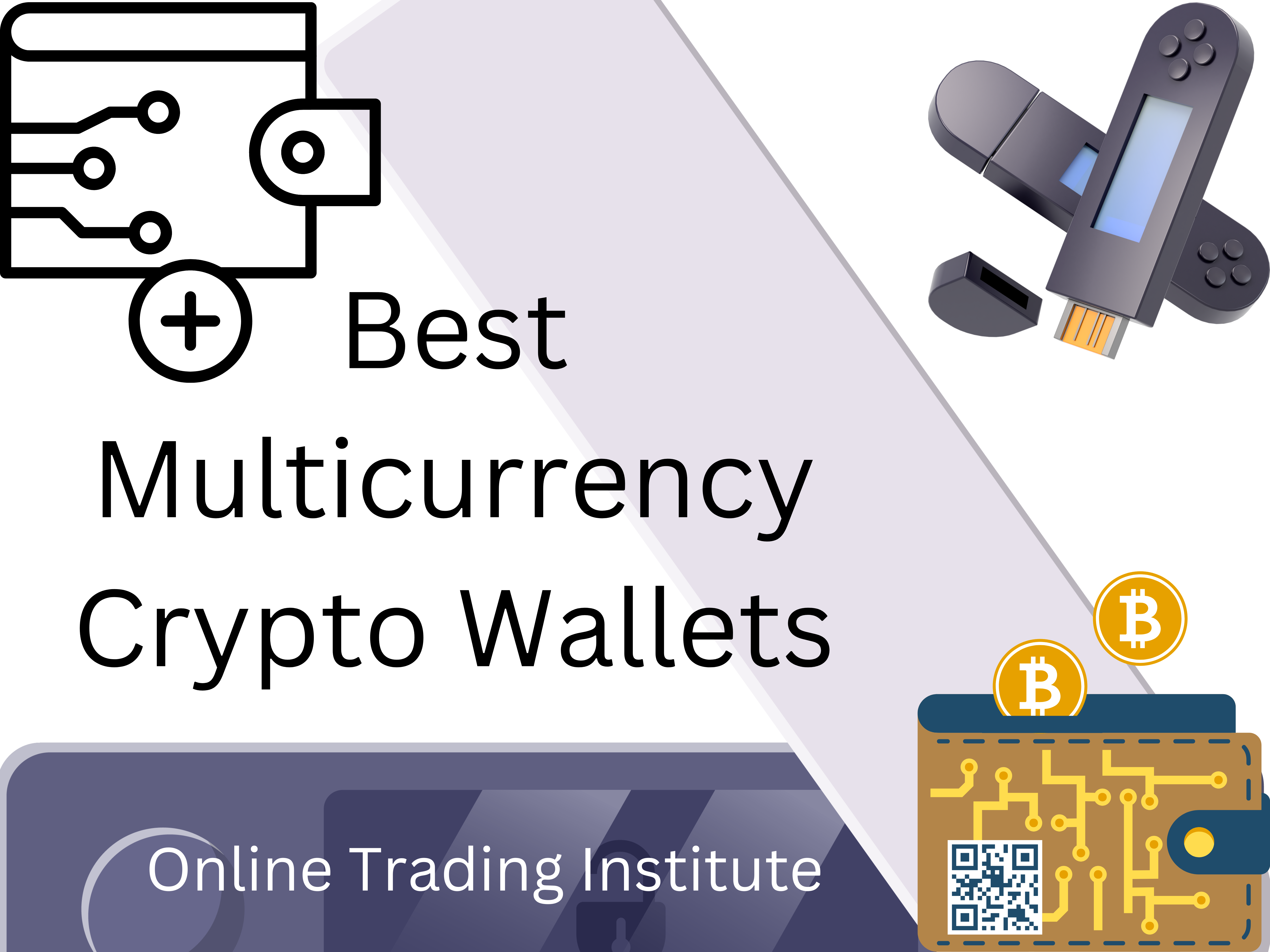 multi crypto wallets