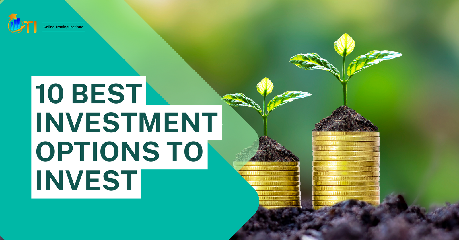 10 best investment options to invest