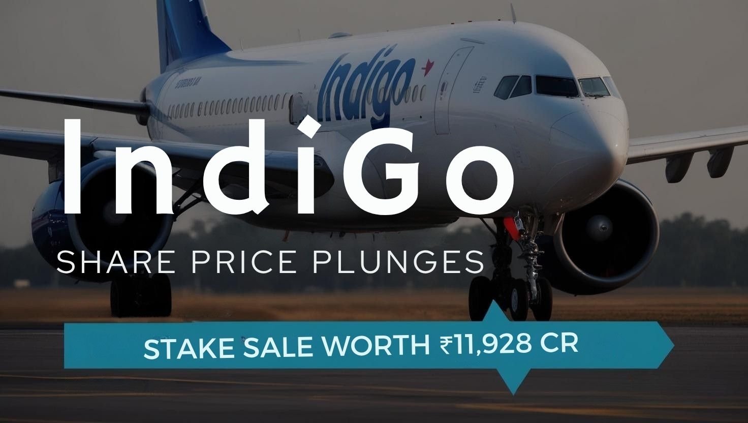 Lndigo share price plunges